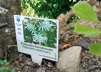L’inaugurazione dell’Orto Botanico “Andrea Tomei” del CAI di Amatrice