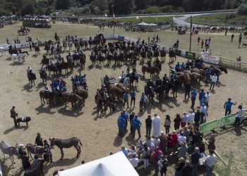 Amatrice a Cavallo 2026: dal 3 al 6 settembre la sesta edizione a Torrita