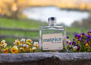 Dal ginepro amatriciano alla stoffa: vi sveliamo i segreti di “Matrice Gin”