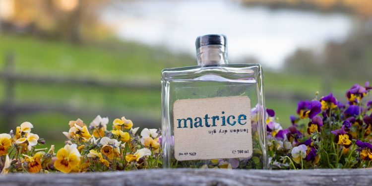 Dal ginepro amatriciano alla stoffa: vi sveliamo i segreti di “Matrice Gin”