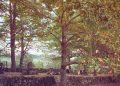 La natura selvaggia dei Monti della Laga