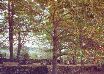La natura selvaggia dei Monti della Laga