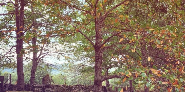 La natura selvaggia dei Monti della Laga