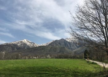 La dote di Guaza