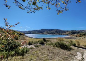 Ornitologia Didattica – “Birdwatching d’Autunno 2026” sul Lago di Campotosto