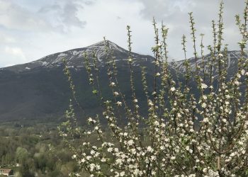 Accumoli e Amatrice: la montagna abitata