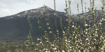 Accumoli e Amatrice: la montagna abitata