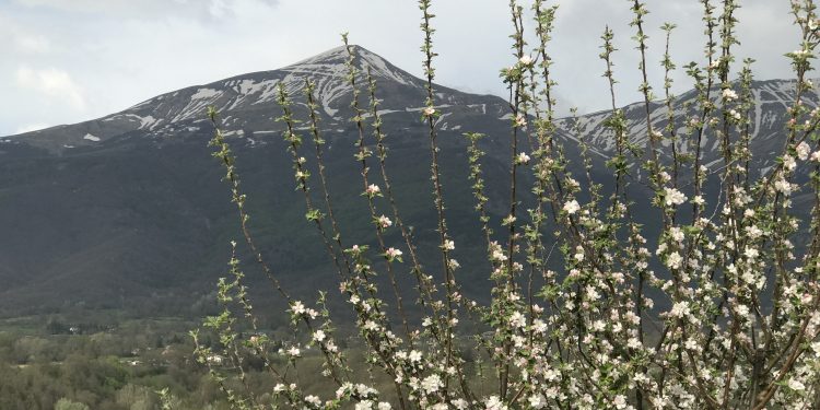 Accumoli e Amatrice: la montagna abitata